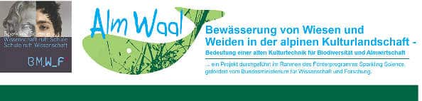 Almwaal