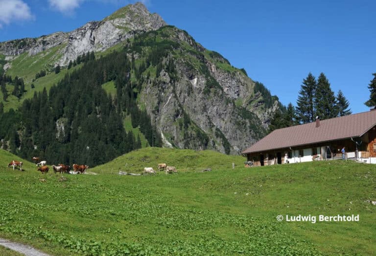 LFI-Almwirtschaftsseminare 2024-2025 Oberösterreich