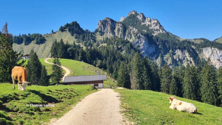 LFI-Almwirtschaftsseminare 2023-2024 Tirol