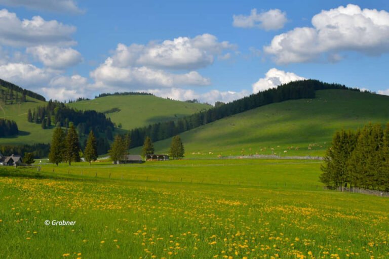 Land der Berge – Die schönsten Almen der Steiermark