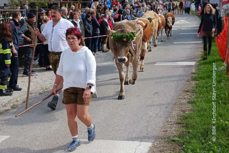 Steinbacher Almabtrieb 2025 – Almvieh feierlich im Tal erwartet