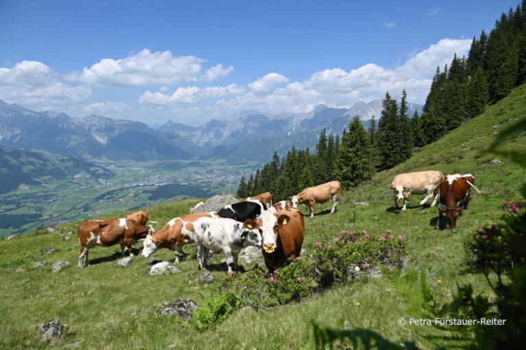 Einladung zur 32. Internationalen Almwirtschaftstagung