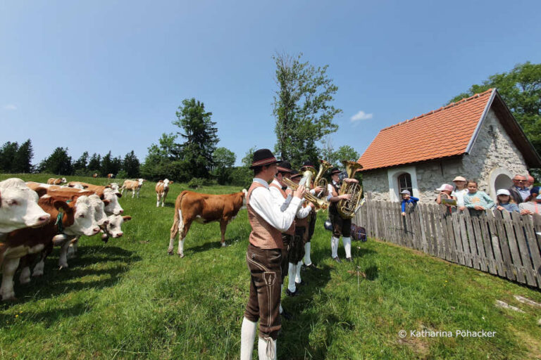 Almfeste in Niederösterreich ab 21. Juni 2026