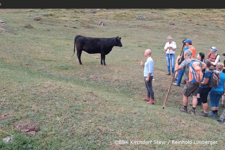 Personengruppe auf einer Wiese vor einer Kuh