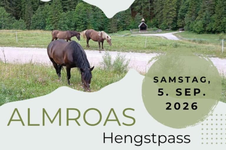 Einladungsflyer mit Pferden auf einer Wiese