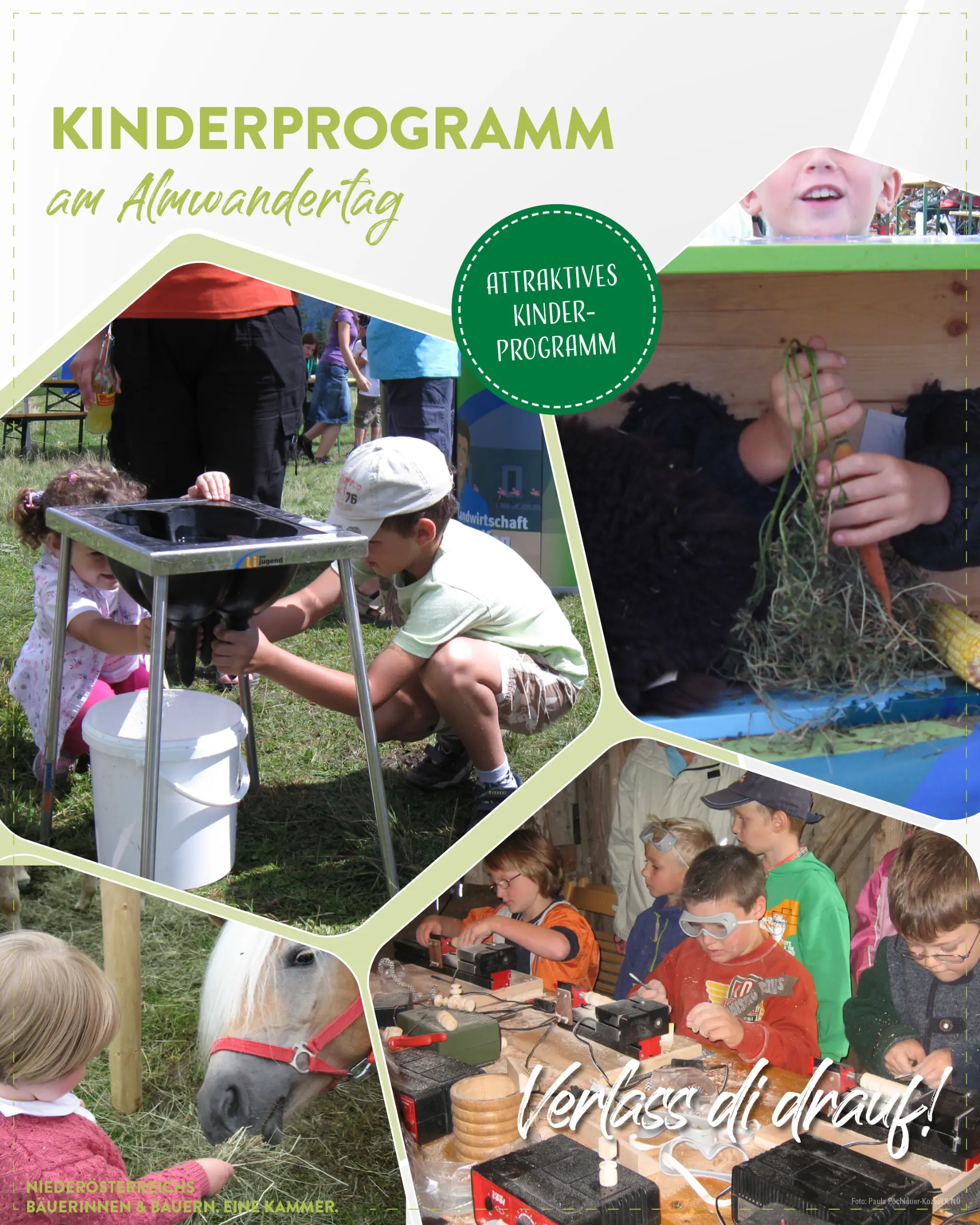 Almwandertag 2026 02