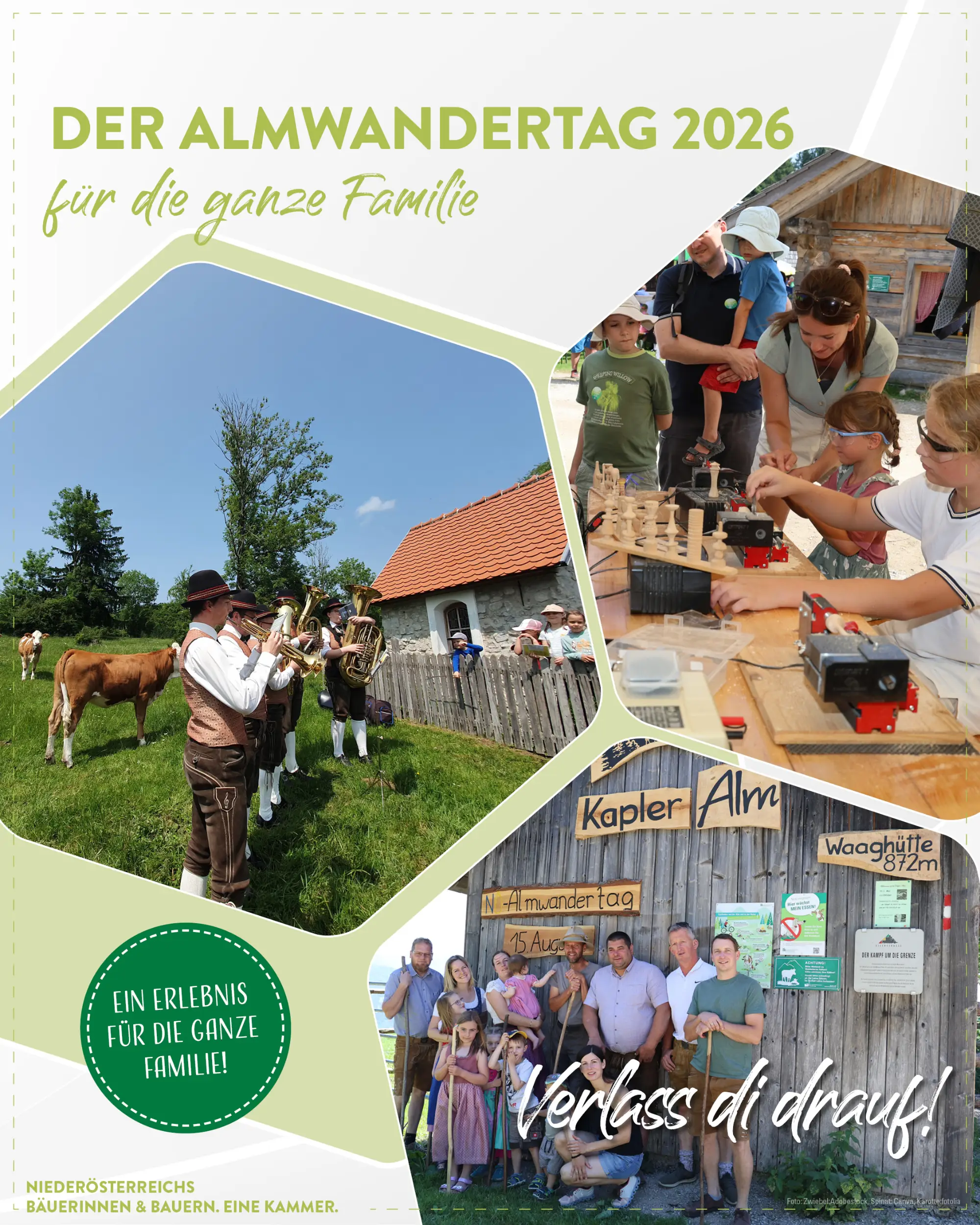 Almwandertag 2026 03