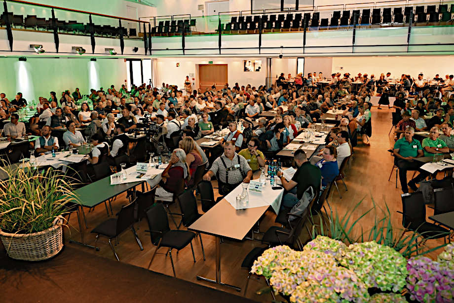 Panoramabild vom Tagungssaal
