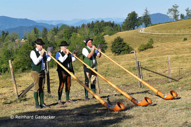 3 Alphornbläser auf der Wiese